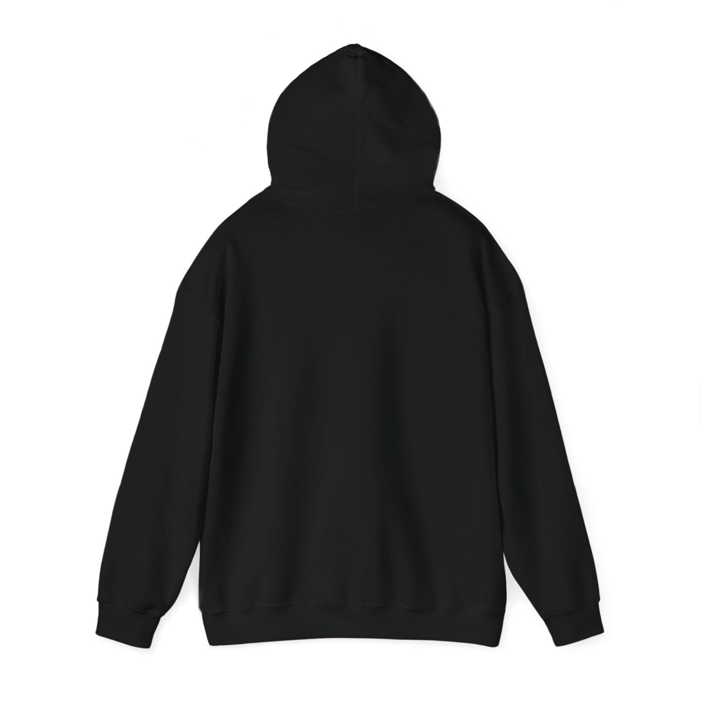 Adventure Awaits Hooded Sweatshirt for Travel Enthusiasts