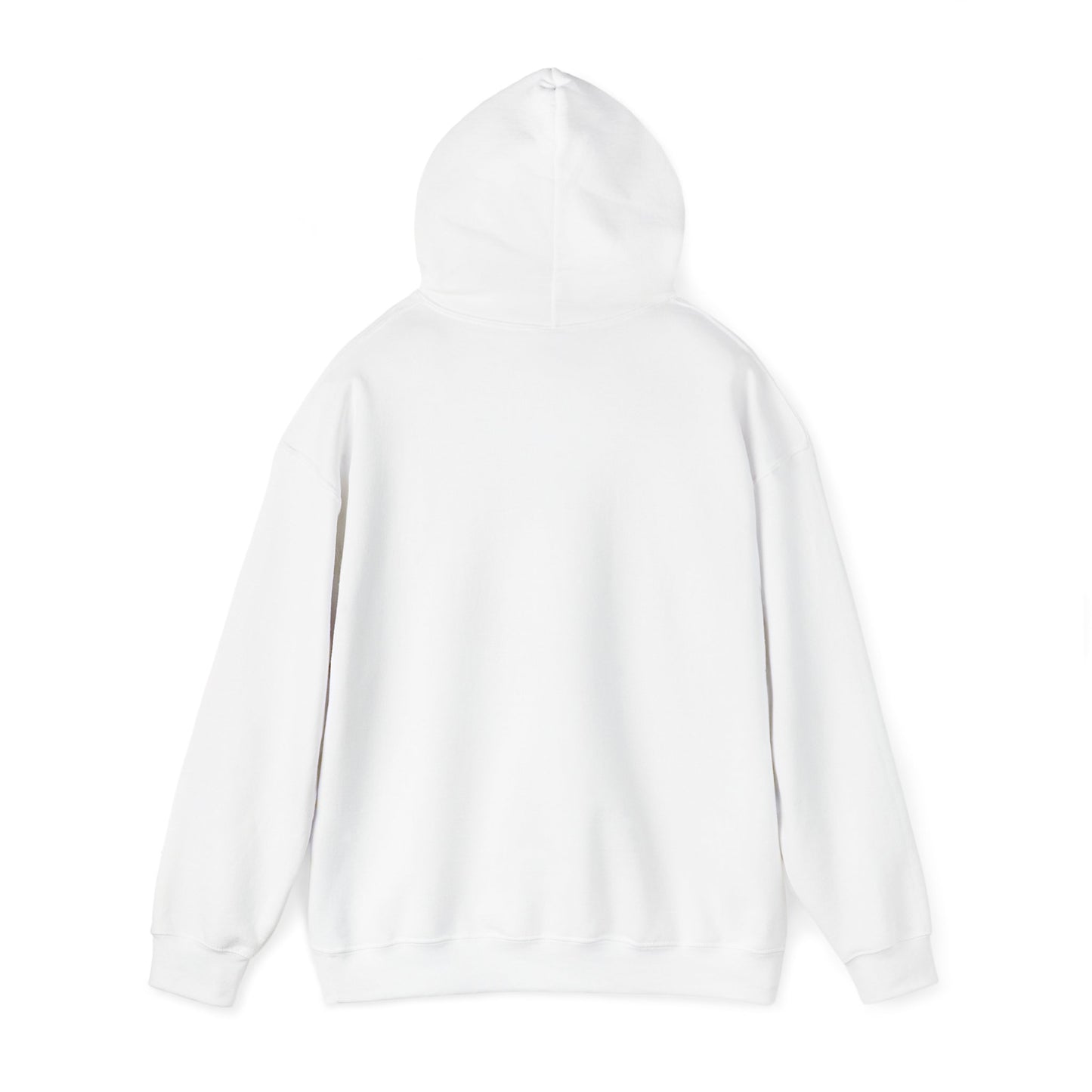 Adventure Awaits Hooded Sweatshirt for Travel Enthusiasts